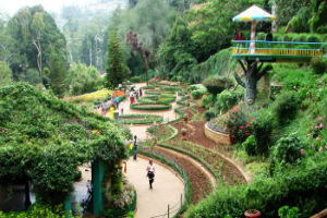 Botanical Gardens