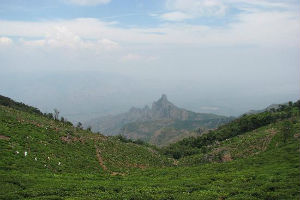 Kodanad Viewpoint