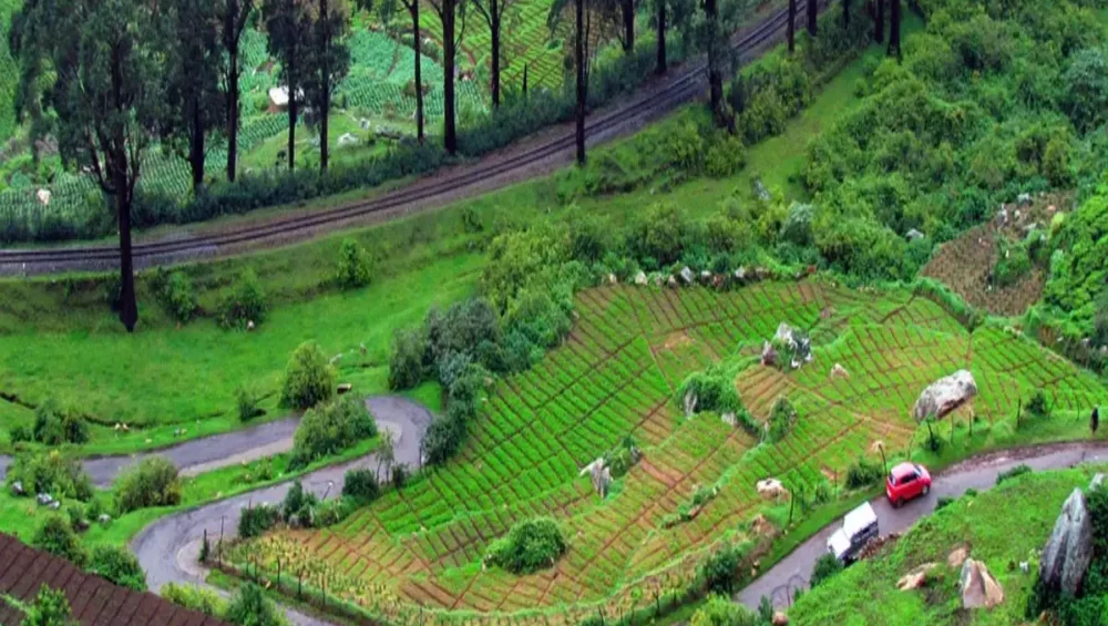 Ooty