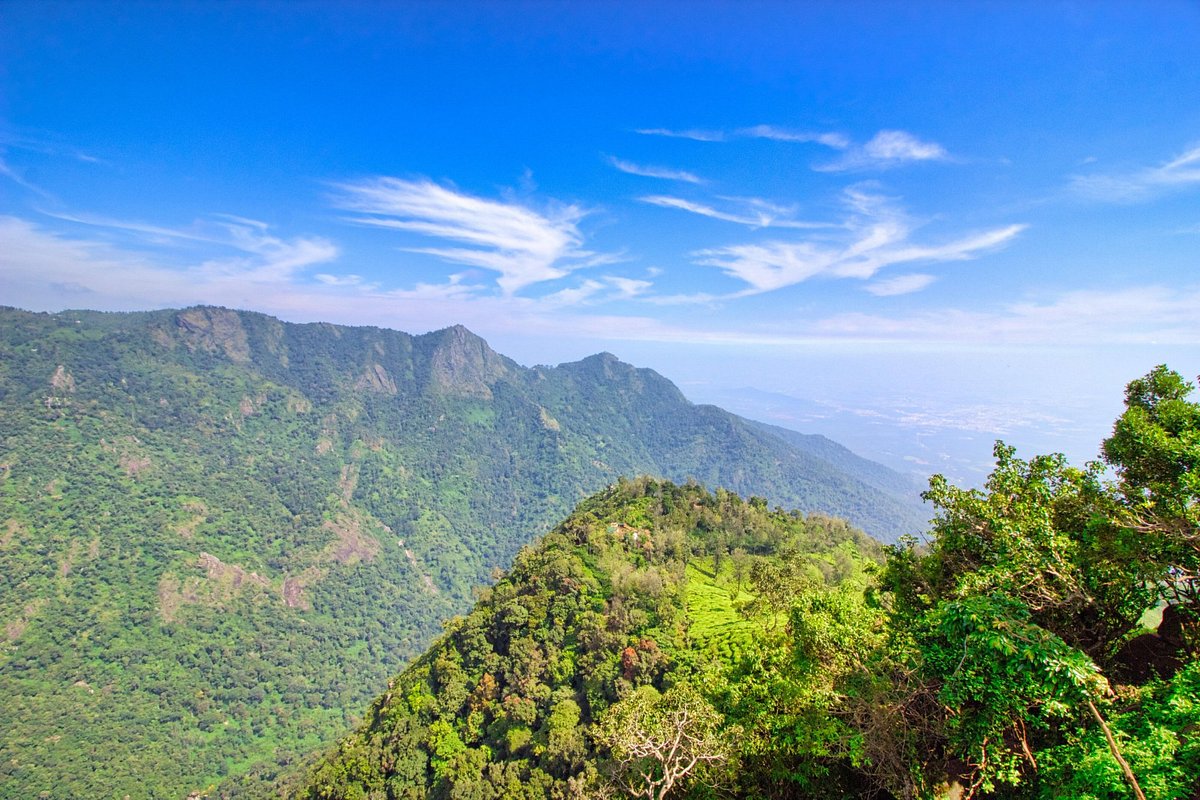 Dolphin’s Nose